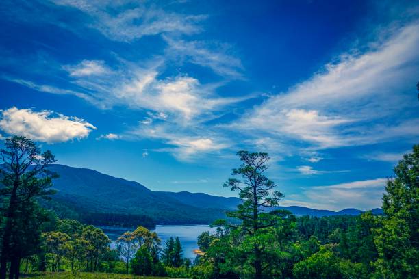 istock Landscape view in Australia at summer 1128967989