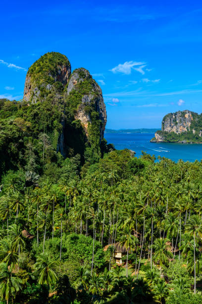 istock Beautiful view on Railay west beach from view point. Tropical beach with karst rock formations on the paradise coast - Railay, Krabi, Thailand. 1128968291