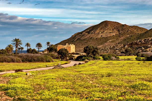 View of springtime landscape in beautiful Cabo de Gata Natural Park in Almeria, Spain, with fields covered with yellow wild flowers and the blue Mediterranean sea in the background.