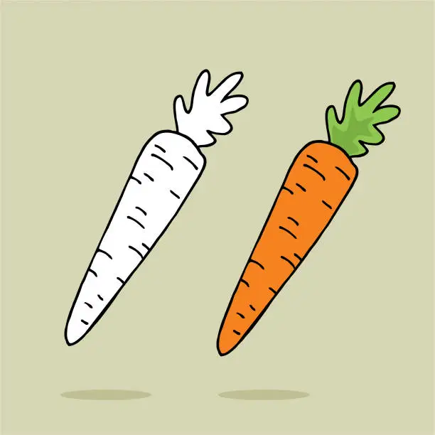 Vector illustration of Hand drawn carrot