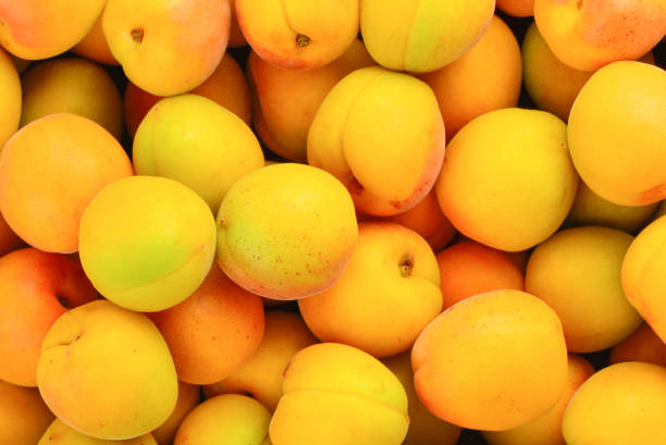 istock Ripe juicy orange apricots fruit background. 1128972941