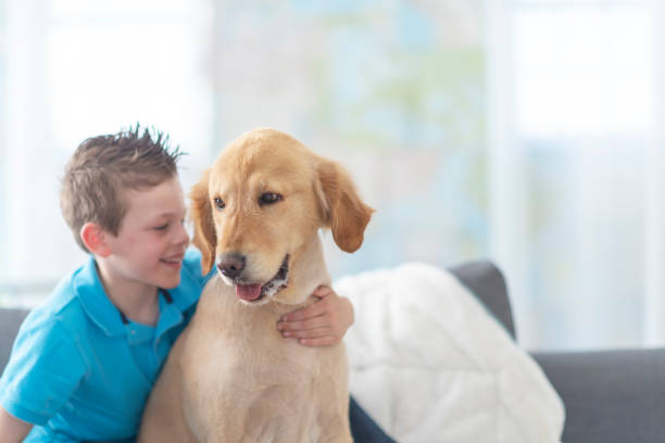 istock Little boy smiles as he hugs his dog 1128972986