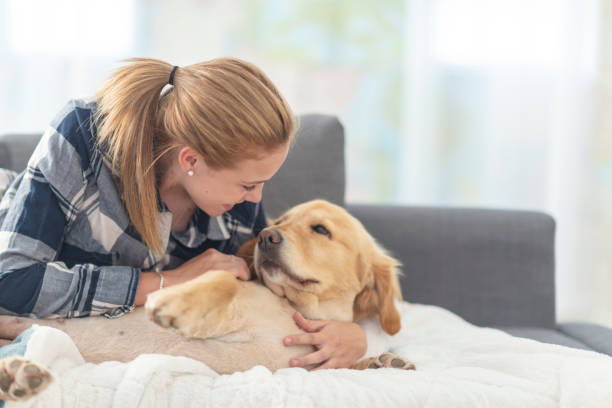 istock Girl smiles as she pets her dog 1128972991