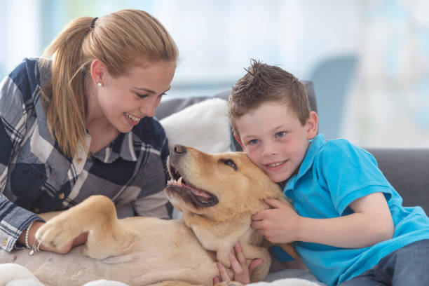 istock A dog gets attention from his owners 1128973004
