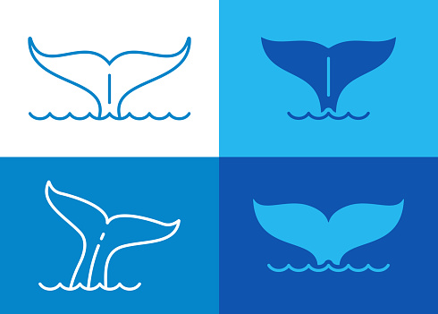 Whale marine mammal tails in the ocean line drawing blue illustrations symbols.