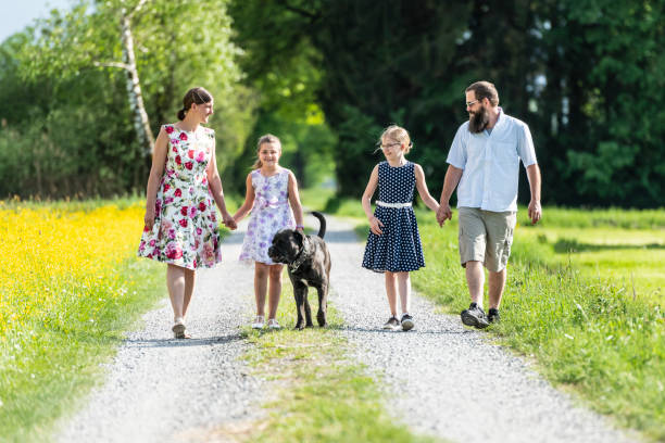 istock Family walking outdoors with the dog 1128984170