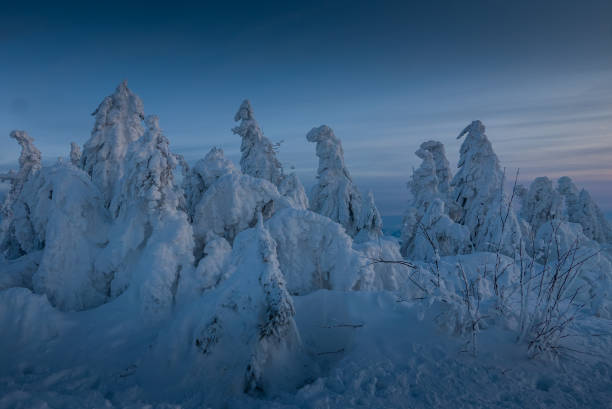 istock Mountain ghosts, trees covered with powder snow and ice 1128985565