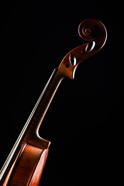 istock neck violin close up on a black background 1128987629