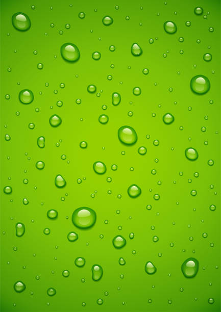illustrations, cliparts, dessins animés et icônes de goutte d’eau à fond vert. illustration vectorielle. - splashing water liquid spraying