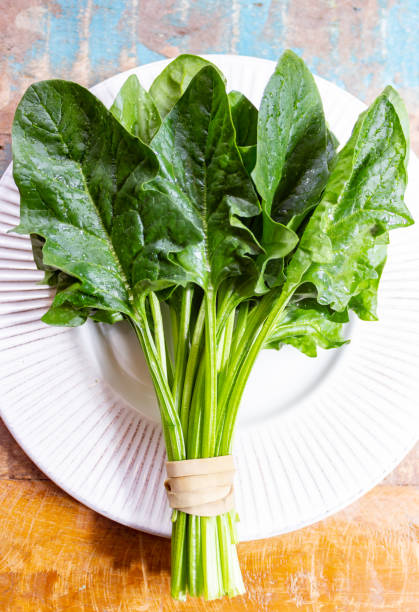 Bunch of green fresh organic spinach leaves