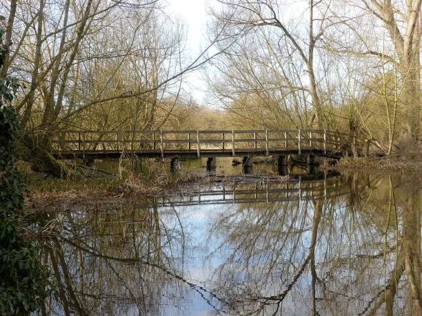 istock Wooden Bridge over River Chess 1128988866