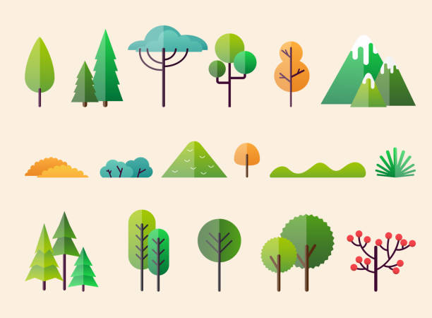 bildbanksillustrationer, clip art samt tecknat material och ikoner med abstrakta skogen växter och träd. skogslandskap. - tallträd illustrationer