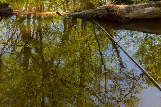Beautiful nature landscape background. Rocks and water surface. Sweden.