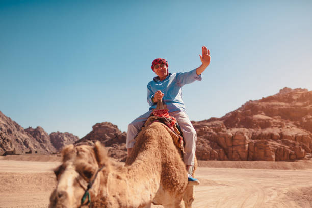 senior hombre monta un camello en el desierto por montañas del sinaí. turista feliz saludando a cámara - camel ride fotografías e imágenes de stock