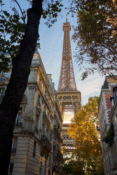 istock Eiffel Tower Shot Between Typical Parisian Style Buldings And Trees 1128990813