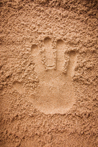 istock A palm print on dry sand 1128992517