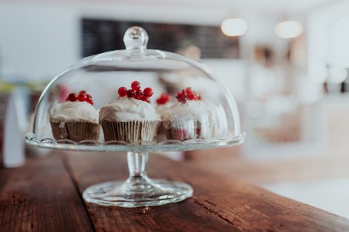Cupcakes under a glass dome