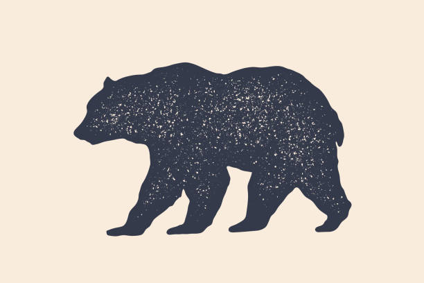 ilustraciones, imágenes clip art, dibujos animados e iconos de stock de oso, silueta. logo vintage, retro grabado, cartel de carnicería - oso grizzly