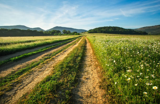 istock Landscape with dirt road between meadow in the spring. Agricultural, fields and mountain. 1129004078