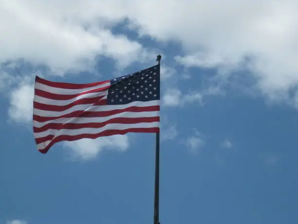 USA Flag Backwards