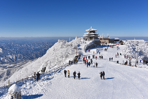 Winter Landscape of Japan. Snowfall Landscape