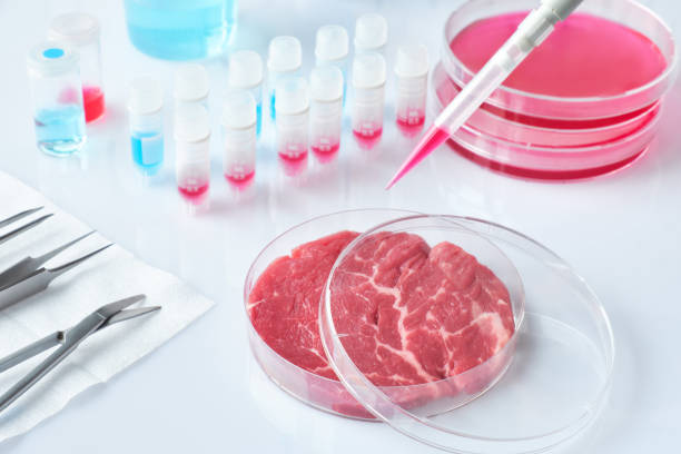 istock Meat sample in open disposable plastic cell culture dish in modern laboratory, clean meat concept 1129015456