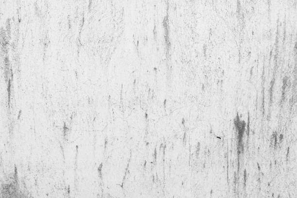 istock Modern grey paint limestone texture background in white light seam home wall paper. Back flat subway concrete stone table floor concept surreal granite quarry stucco surface background grunge pattern. 1129019910