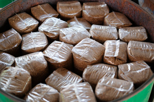 istock artificial substrate in bag for growing mushroom in farm 1129020381