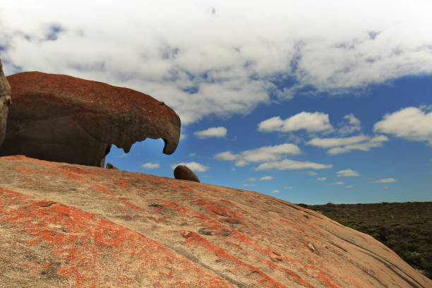 istock Flinders Chase National Park Remarkable Rocks on kangaroo Island 1129020502