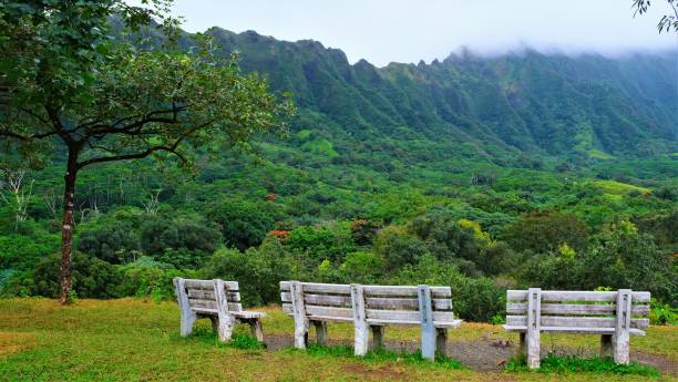 istock Ho'omaluhia Botanical Park, Kaneohe, Oahu, HI 1129021976
