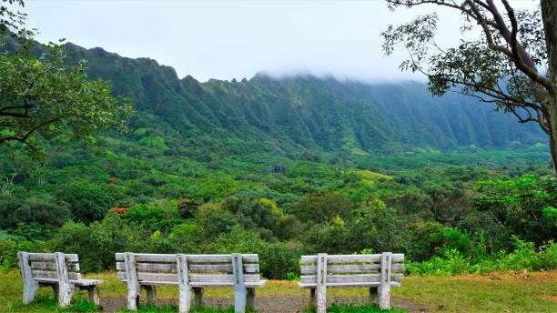 istock Ho'omaluhia Botanical Park, Kaneohe, Oahu, HI 1129021979