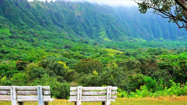 istock Ho'omaluhia Botanical Park, Kaneohe, Oahu, HI 1129021980