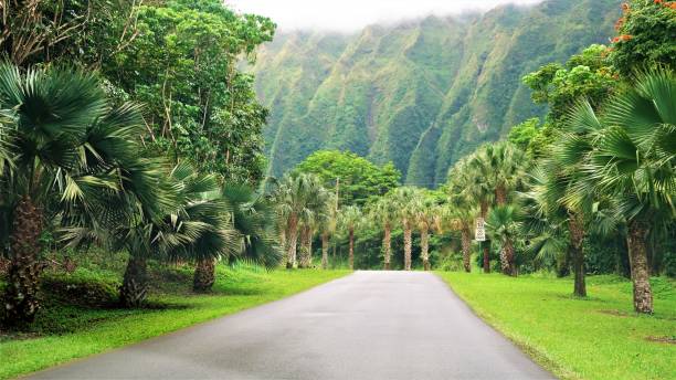 istock Ho'omaluhia Botanical Park, Kaneohe, Oahu, HI 1129021981