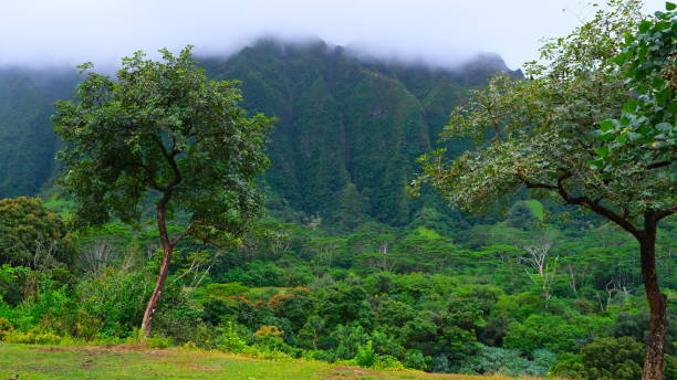 istock Ho'omaluhia Botanical Park, Kaneohe, Oahu, HI 1129021983