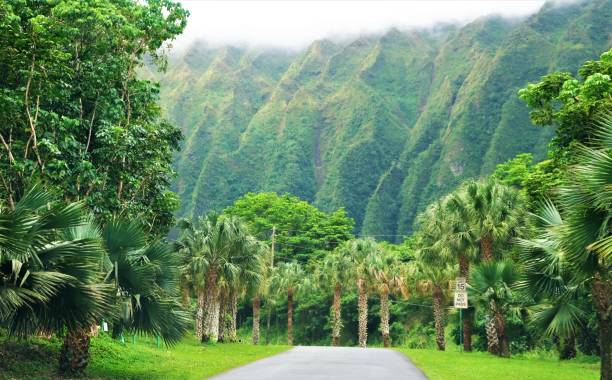 istock Ho'omaluhia Botanical Park, Kaneohe, Oahu, HI 1129021984