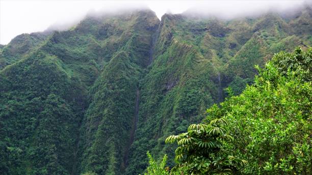 istock Ho'omaluhia Botanical Park, Kaneohe, Oahu, HI 1129021989