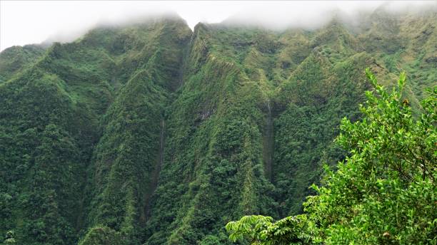 istock Ho'omaluhia Botanical Park, Kaneohe, Oahu, HI 1129021990