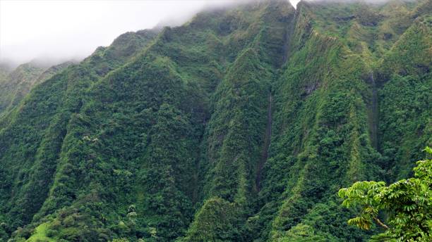 Ho'omaluhia Botanical Park, Kaneohe, Oahu, HI