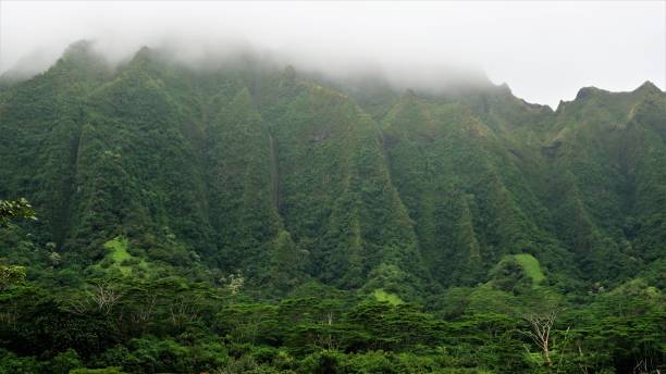 istock Ho'omaluhia Botanical Park, Kaneohe, Oahu, HI 1129021995