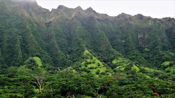 istock Ho'omaluhia Botanical Park, Kaneohe, Oahu, HI 1129021998