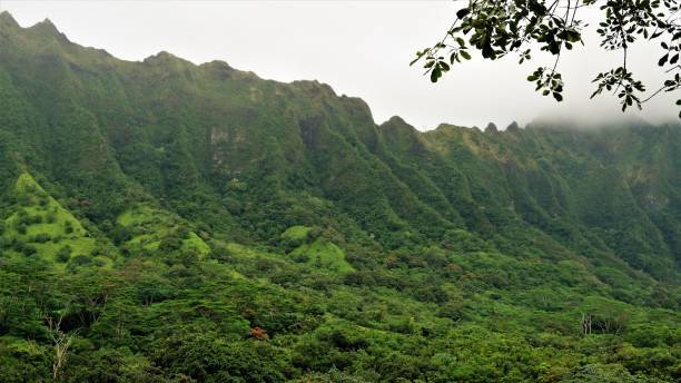 istock Ho'omaluhia Botanical Park, Kaneohe, Oahu, HI 1129022005