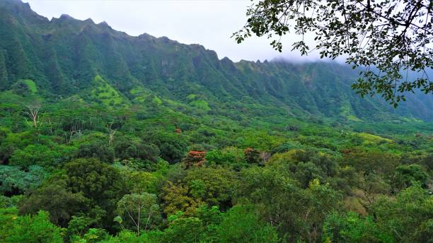 istock Ho'omaluhia Botanical Park, Kaneohe, Oahu, HI 1129022010