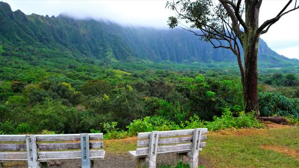 istock Ho'omaluhia Botanical Park, Kaneohe, Oahu, HI 1129022023