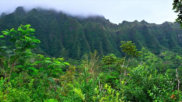istock Ho'omaluhia Botanical Park, Kaneohe, Oahu, HI 1129022034