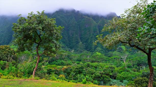 istock Ho'omaluhia Botanical Park, Kaneohe, Oahu, HI 1129022039