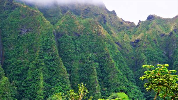 istock Ho'omaluhia Botanical Park, Kaneohe, Oahu, HI 1129022045