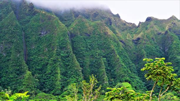 istock Ho'omaluhia Botanical Park, Kaneohe, Oahu, HI 1129022046