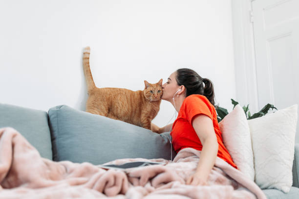 Woman with her cat on sofa stock photo