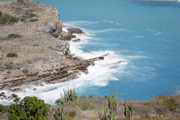 istock Waves hitting rocky coastline in Antigua 1129026933