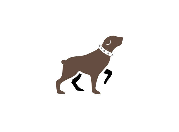 illustrations, cliparts, dessins animés et icônes de chien rottweiler, remontant la tête et le collier dans son logo de cou - dog greyhound whippet isolated